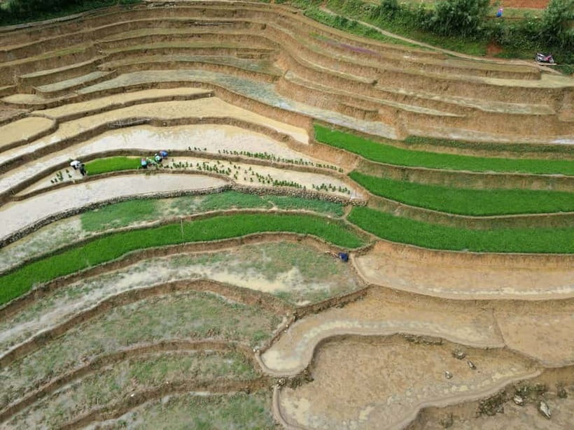 Sapa small groupe activities: 1 Day trek - Meet the locals - Returning to Sapa by minivan or car
