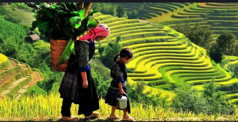 Sapa: Ta Phin Village Trek & Red Dao Herbal Bath - From Suoi Ho to Ma Tra through fields and pine trees