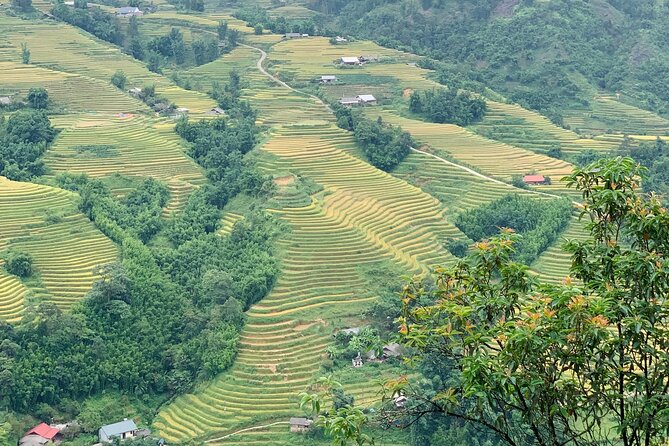 Sapa The Hidden Trail Trek 1 Day - Mountain & Rice Valley - The guides shape the day
