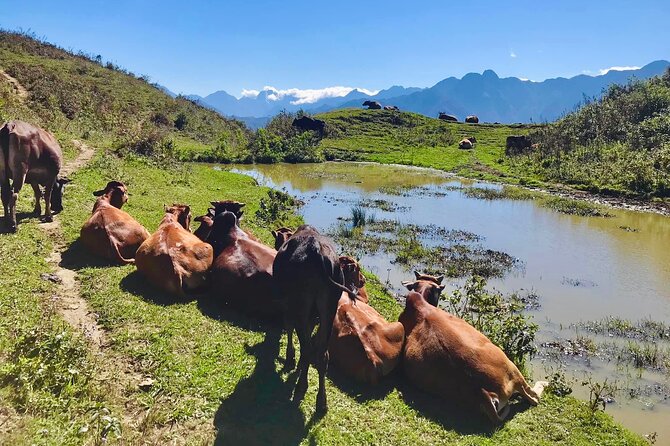 Sapa The Hidden Trail Trek 1 Day - Mountain & Rice Valley - How hard is the Sapa Hidden Trail Trek?