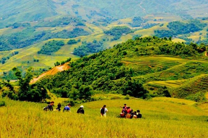 Sapa Trek 3 days 3 nights small group tour - Homestay and Hotel from Hanoi - Cat Cat Village and the final afternoon