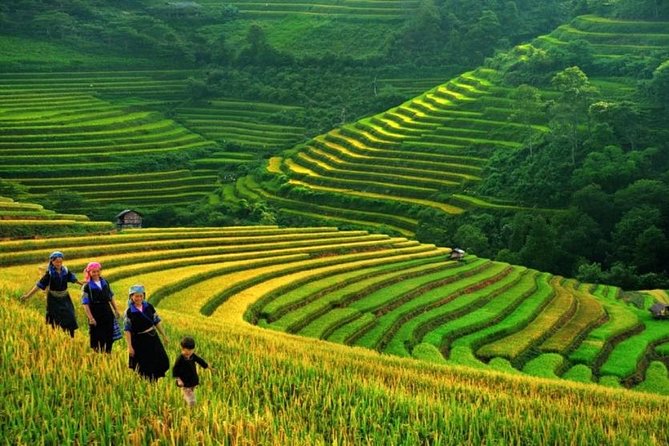 Sapa Trek 3 days 3 nights small group tour - Homestay and Hotel from Hanoi - The overnight train and early climb to Sapa