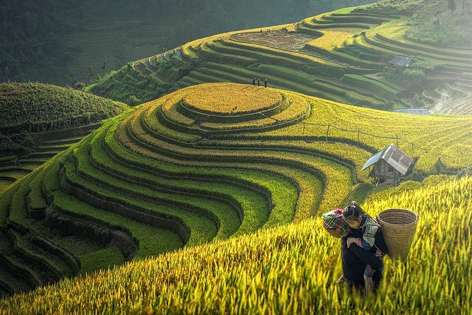 Sapa Trek Tours -2D1N Stay At 3*** -TRANSFER BY SLEEPING BUS - The early bus ride from Hanoi to Sapa