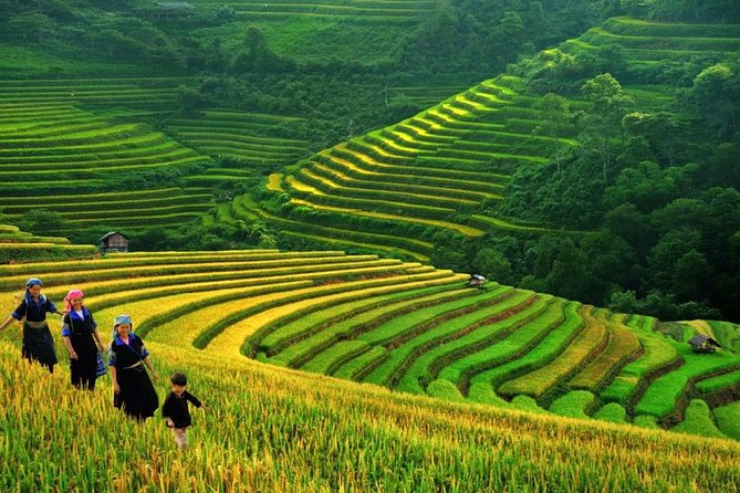 Sapa Trek Tours -2D1N Stay At 3*** -TRANSFER BY SLEEPING BUS - Cat Cat village and the first afternoon