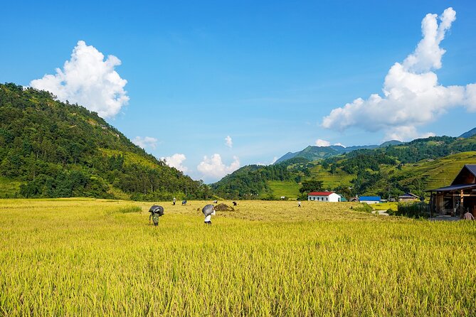 Sapa Trekking 3 Days 2 Nights (Homestay) - Departure From Hanoi - What homestay life is really like