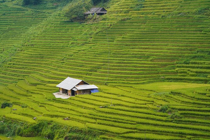 Sapa Trekking 3 Days 2 Nights (Homestay) - Departure From Hanoi - Guide quality, group size, and the seller issue