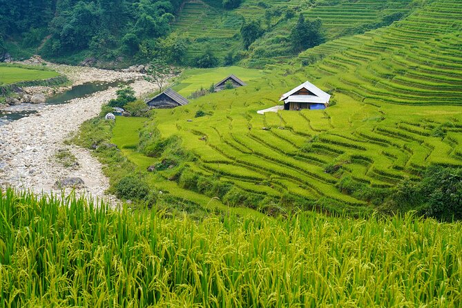 Sapa Trekking 3 Days 2 Nights (Homestay) - Departure From Hanoi - Day 1: Y Linh Ho, Lao Chai, and Ta Van