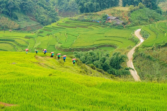 Sapa Trekking 3 Days 2 Nights (Hotel) - Departure From Hanoi - Lao Chai, lunch, and life along the valley paths