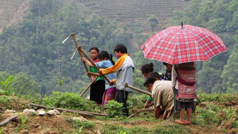 Sapa Trekking Bargains With Local Guide - Why this Sapa trek feels different