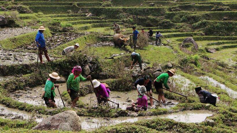 Sapa Trekking Bargains With Local Guide - Starting at Y Linh Ho