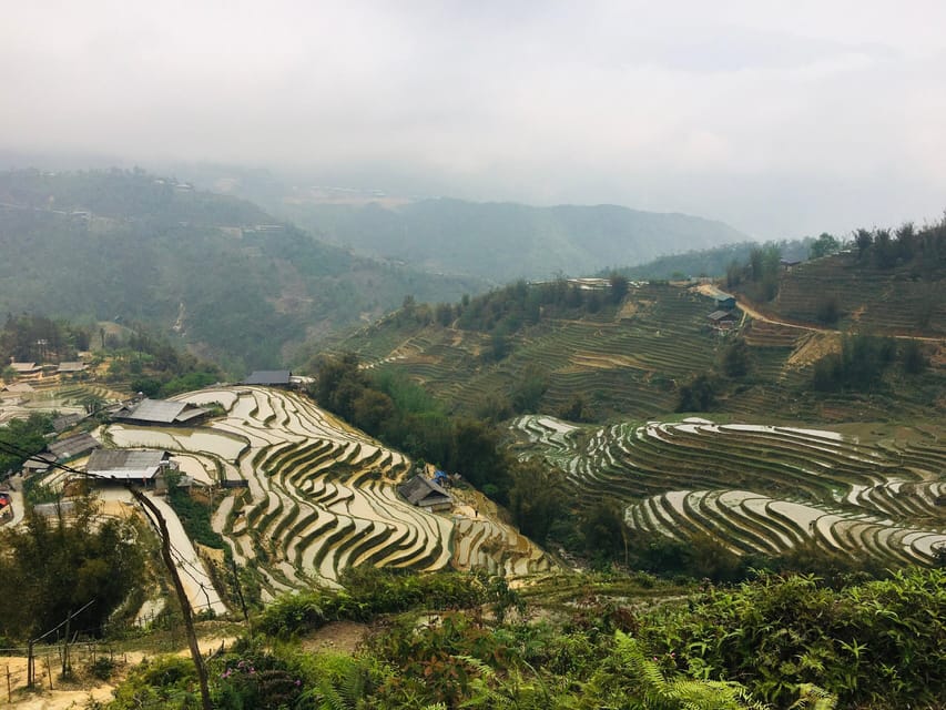 Sapa Trekking Guide Francophone 2 days – 1 night - Day two: Ta Van, bamboo forest, and Giang Ta Chai