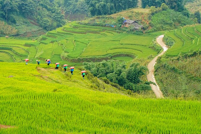 Sapa Trekking & Homestay 2 Days 1 Night - The first walk from Sapa to Y Linh Ho