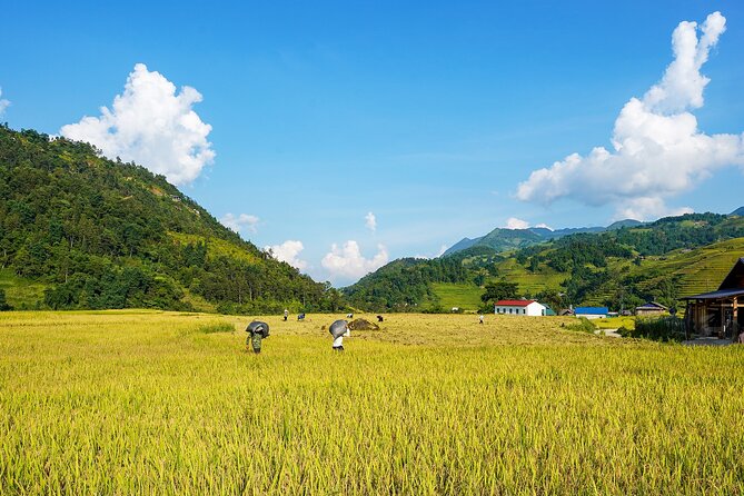 Sapa Trekking & Homestay 2 Days 1 Night - A night at the Y Linh Ho homestay