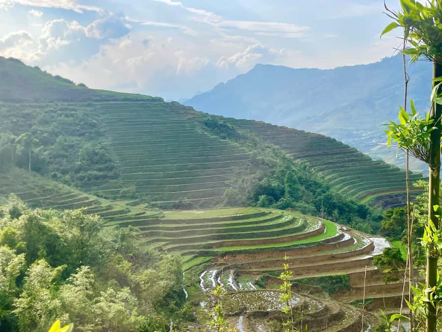 Sapa Trekking Private Tour With Ethnic Female Tour Guide - Should you book this Sapa tour?