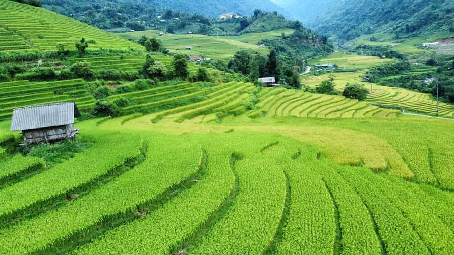 Sapa: Trekking Sapa One Day With Group Tour - Quick Takeaways