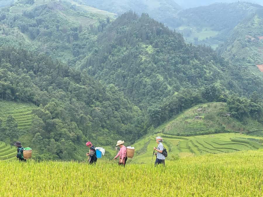 Sapa: Trekking Sapa One Day With Group Tour - Bamboo Forests and the First Steep Paths