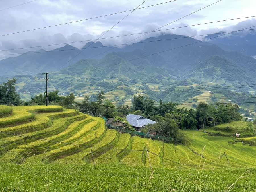 Sapa: Trekking Sapa One Day With Group Tour - Y Linh Ho and Black Hmong Village Life