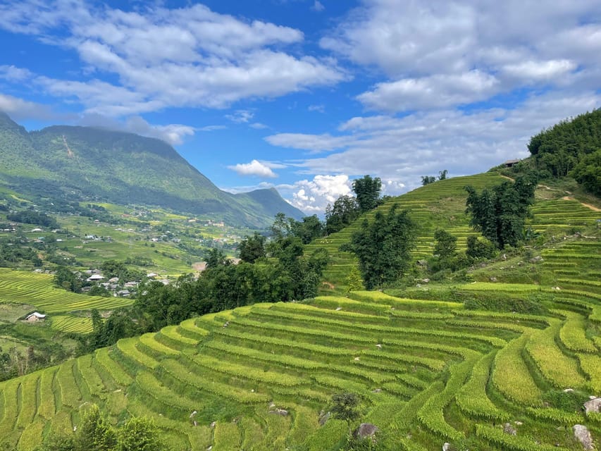 Sapa: Trekking Sapa One Day With Group Tour - Lao Chai, Rice Terraces, and Village Lunch