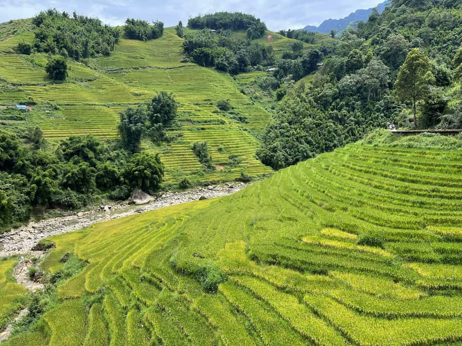 Sapa: Trekking Sapa One Day With Group Tour - Returning to Sapa by Car
