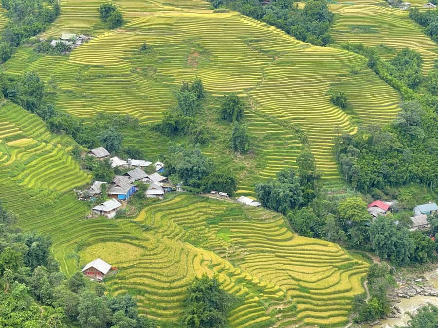 Sapa: Trekking Sapa One Day With Group Tour - The Guides Make the Difference
