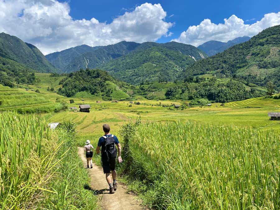 Sapa: Trekking Through Terraced Rice Fields & Valley 1 Day - Key points to know before you book