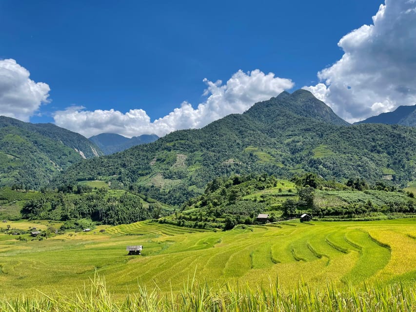 Sapa: Trekking Through Terraced Rice Fields & Valley 1 Day - Should you book this Sapa trek?