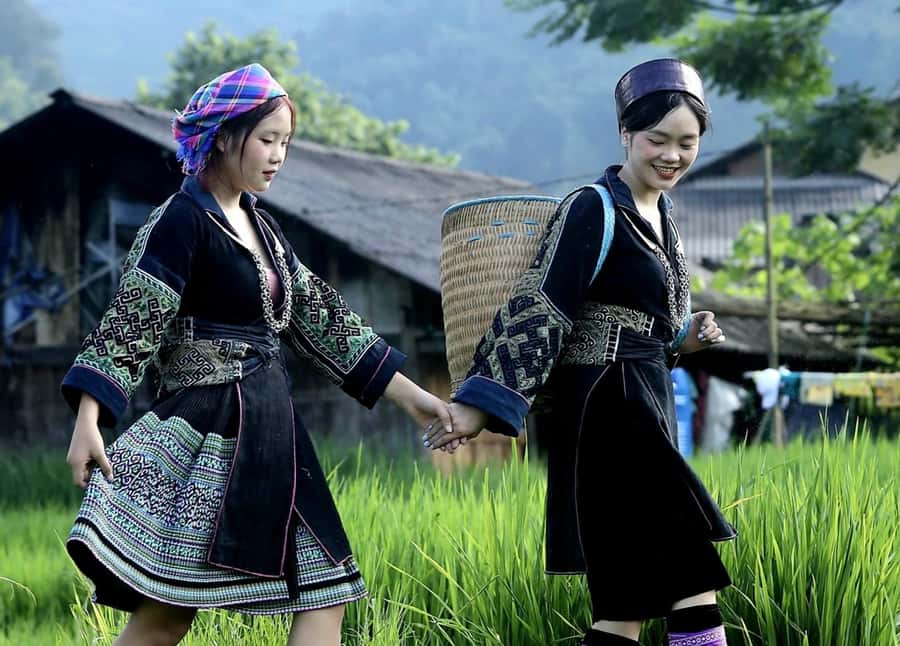 Sapa: Trekking Through Terraced Rice Fields & Valley 1 Day - Lao Chai and the H’Mong way of life
