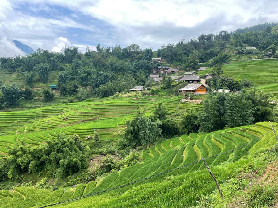 Sapa: Trekking Through Terraced Rice Fields & Valley 1 Day - Ta Van and three local cultures