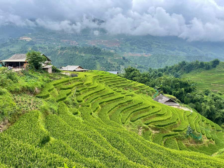 Sapa: Trekking Through Terraced Rice Fields & Valley 1 Day - Who will enjoy this walk most