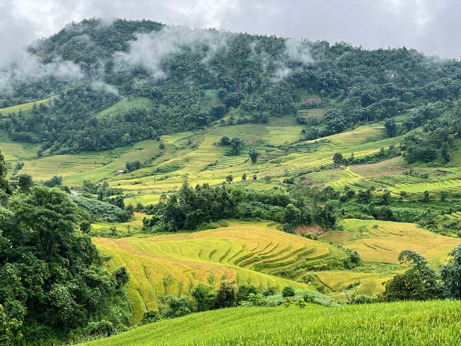 Sapa: Trekking Through Terraced Rice Fields & Valley 1 Day - Practical preparation for six hours outdoors