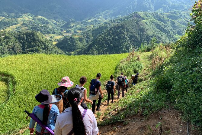 Sapa Trekking Tour 2 Days 1 Night By Bus - Why this Sapa trip works in only two days