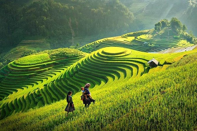 Sapa Trekking Tour 2 Days 1 Night By Bus - The Muong Hoa Valley route to Lao Chai