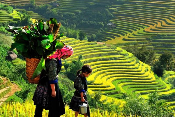 Sapa Trekking Tours - 2 Days 1 Night Stay At Homestay - Key points at a glance