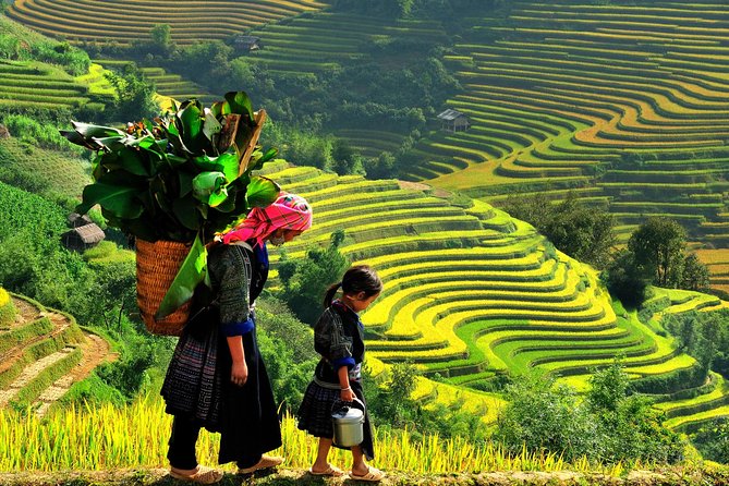 Sapa Trekking Tours - 2 Days 1 Night Stay At Homestay - Leaving Hanoi for Sapa’s high valleys