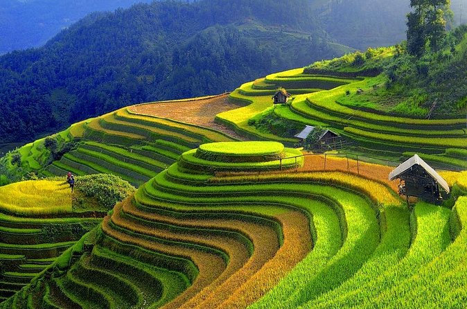 Sapa Trekking Tours - 2 Days 1 Night Stay At Homestay - Y Linh Ho, Lao Chai, and Ta Van on day two