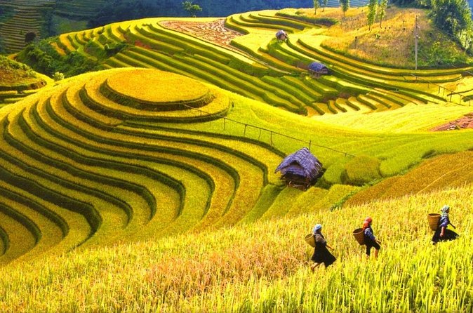 Sapa Trekking Tours - 2 Days 1 Night Stay At Homestay - Who should book this Sapa trip?