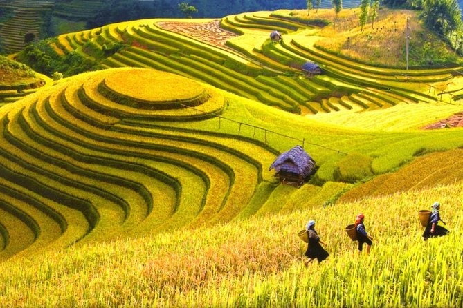 Sapa Trekking Tours - 2 Days 1 Night Stay At Homestay - Cat Cat Village and the first 5km