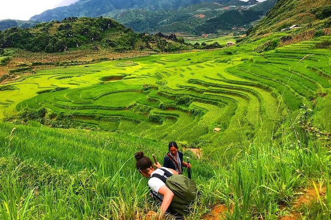Sapa trekking - Unique Route - 2D1N - A night at the Dao homestay