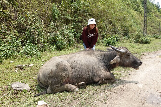 Sapa Valley Trek and Homestay - 3D2N - Group size, timing, and practical details