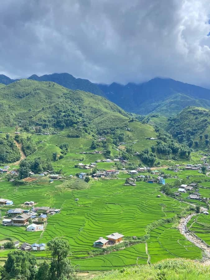 Sapa: Y Linh Ho - Lao Chai, and Ta Van Trekking Day Tour - Why this Sapa walk is worth your time