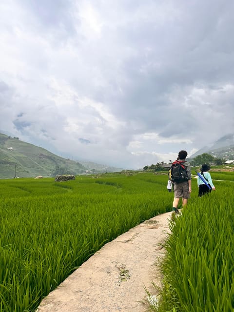 Sapa3D2N TrekkingAdventures,Valleys,Bambooforest,Waterfall - Day three: Lao Chai, Y Linh Ho, and the return to Sapa