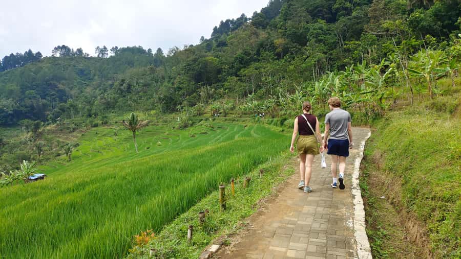 Selogriyo Temple, treking Java Rice Terrace & waterfall - The 90-minute ride to Kedung Kayang