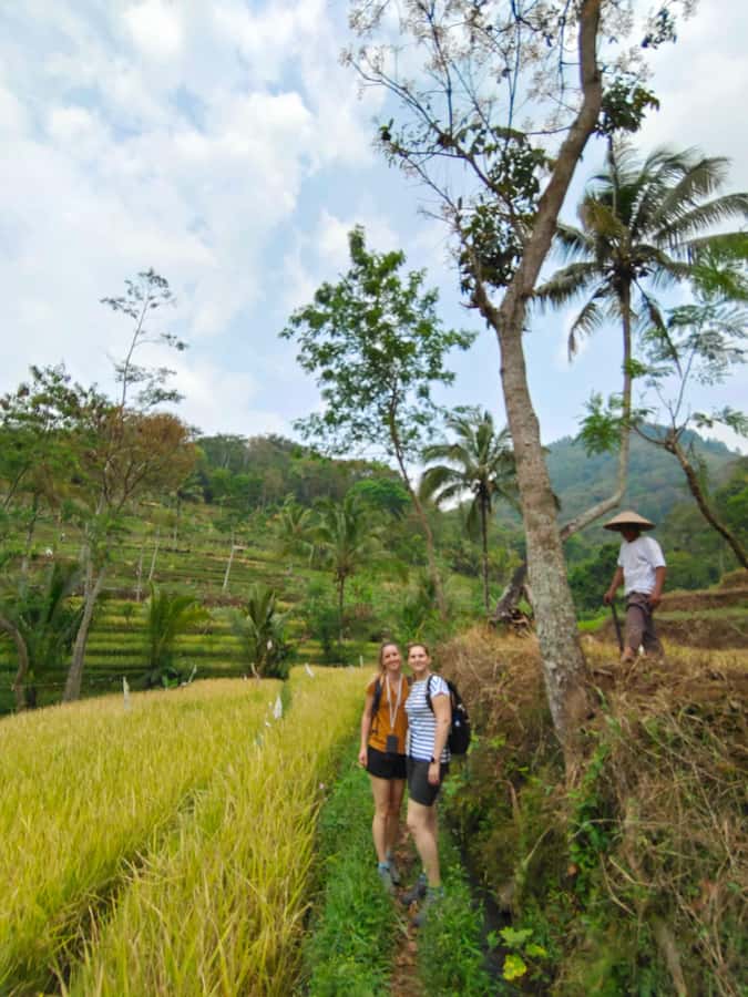 Selogriyo Temple, treking Java Rice Terrace & waterfall - Walking through Selogriyo’s rice fields