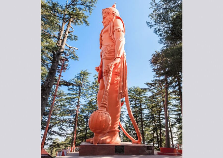 Shimla Nature Walk (3 Hours Guided Trekking Experience) - Key points to know before you book