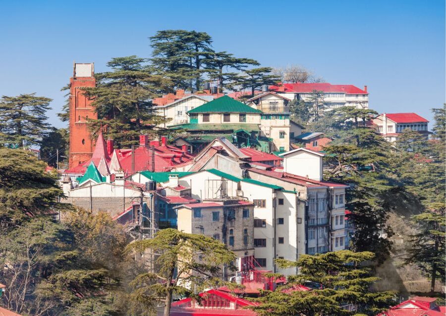 Shimla Nature Walk (3 Hours Guided Trekking Experience) - Downhill to The Ridge, with Maggi and tea