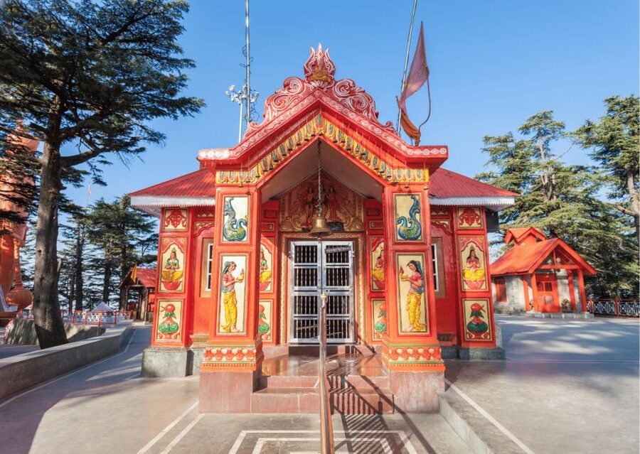 Shimla Nature Walk (3 Hours Guided Trekking Experience) - What the guide adds, and where the risk lies