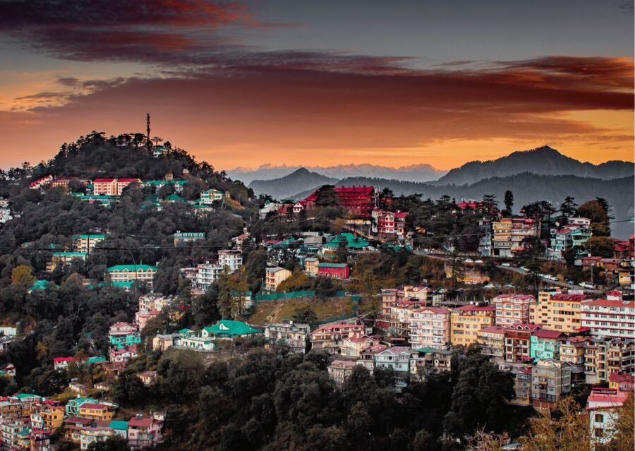 Shimla Nature Walk (3 Hours Guided Trekking Experience) - Climbing through deodar trees to Jakhoo Hill