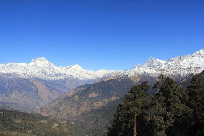 Short Annapurna Base Camp Trek - 7 Days - Guides, porters, and the human side of the trek