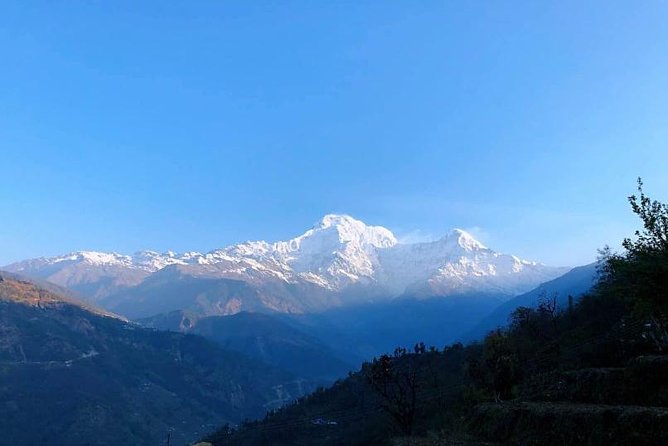 Short Annapurna Base Camp Trek -8 Days - Forest trails from Chhomrong to Himalaya