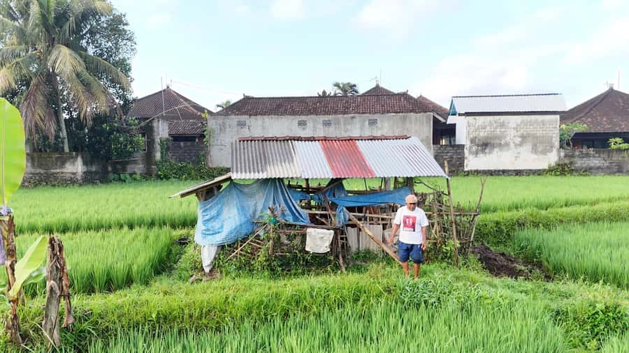 Sidemen rice terraces trek and local village walk - Why Sidemen is worth exploring on foot